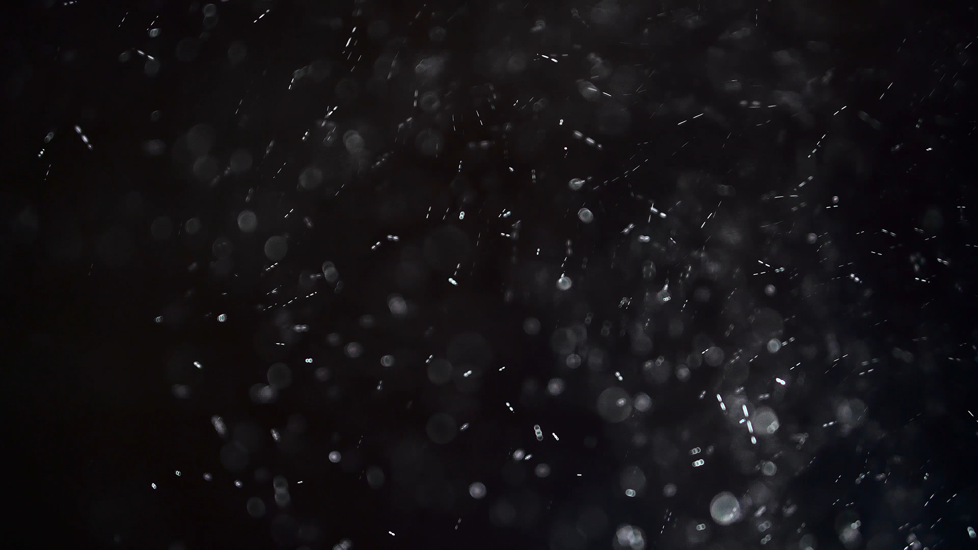 dust particles after effects download