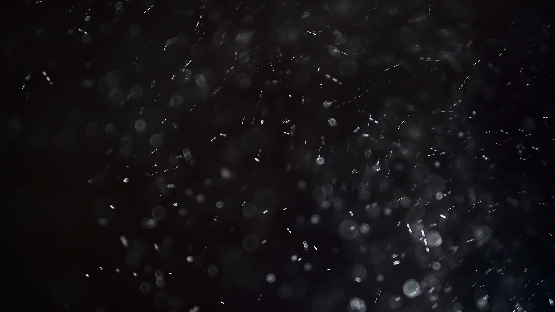 Shiny Dust Particles In Air - Stock Video | Motion Array