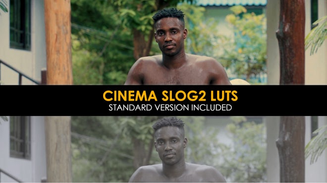 Sony Cine-4 Film And Standard Luts - Premiere Pro Presets | Motion.