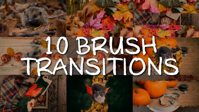 10 Brush Transitions: Stock Motion Graphics