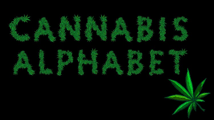 Cannabis Alphabet - Stock Motion Graphics | Motion Array