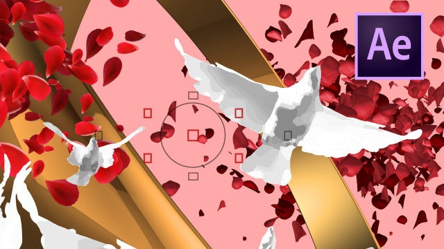 5 Wedding Transitions: After Effects Templates