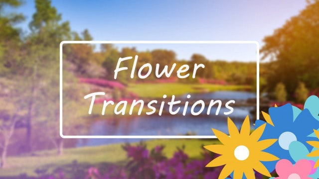 Flower Transitions Pack: Stock Motion Graphics