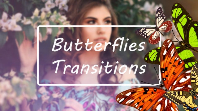 Butterflies Transitions: Stock Motion Graphics