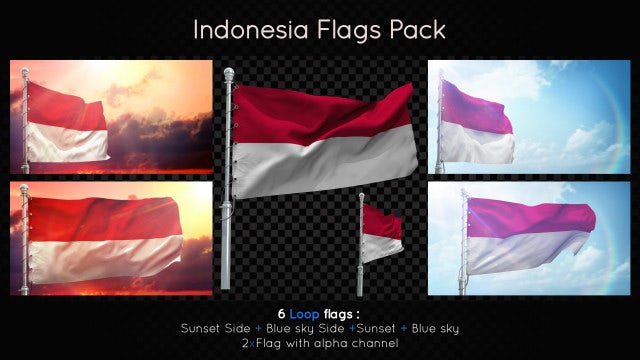 Indonesia Flags Pack: Stock Motion Graphics