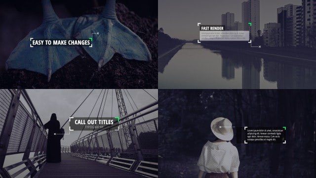 Modern Callout Titles: After Effects Templates