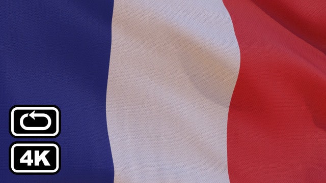 France Flag: Stock Motion Graphics