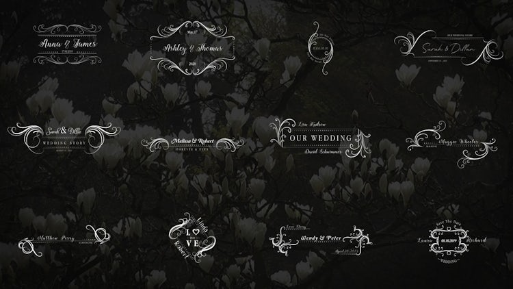 Wedding Titles 4K: After Effects Templates