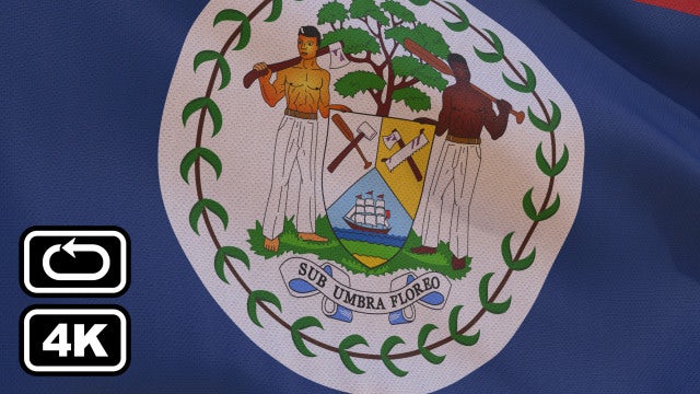 Belize Flag: Stock Motion Graphics