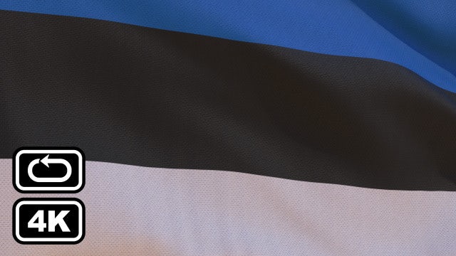 Estonia Flag: Stock Motion Graphics