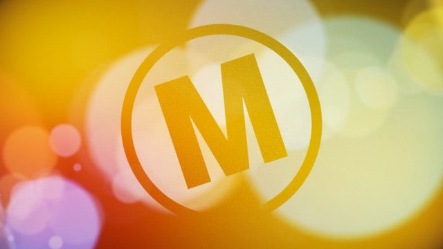Elegant Particles Logo Reveal: After Effects Templates