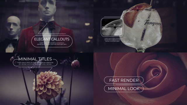 Elegant Callout Titles 4k: Premiere Pro Templates