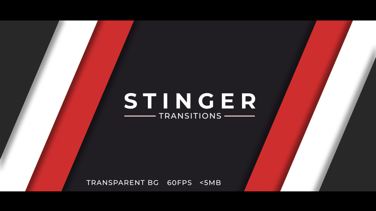 Logo Stinger Transition Template