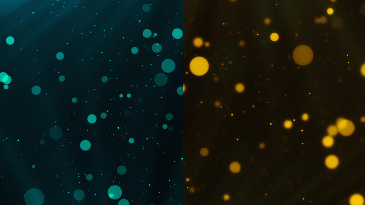 after effects particle world camera bokeh