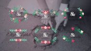  Adobe Premiere Wedding Title Templates Free Download 