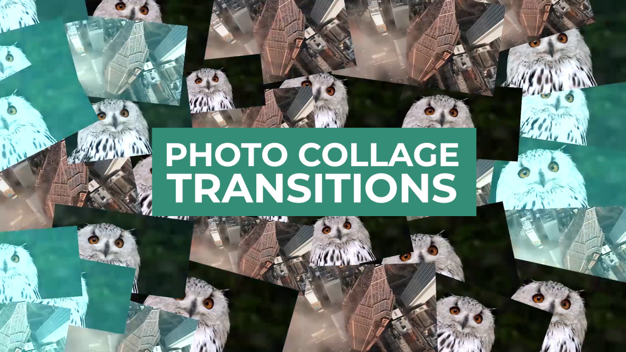 Photo Collage Transitions Premiere Pro Templates Motion Array