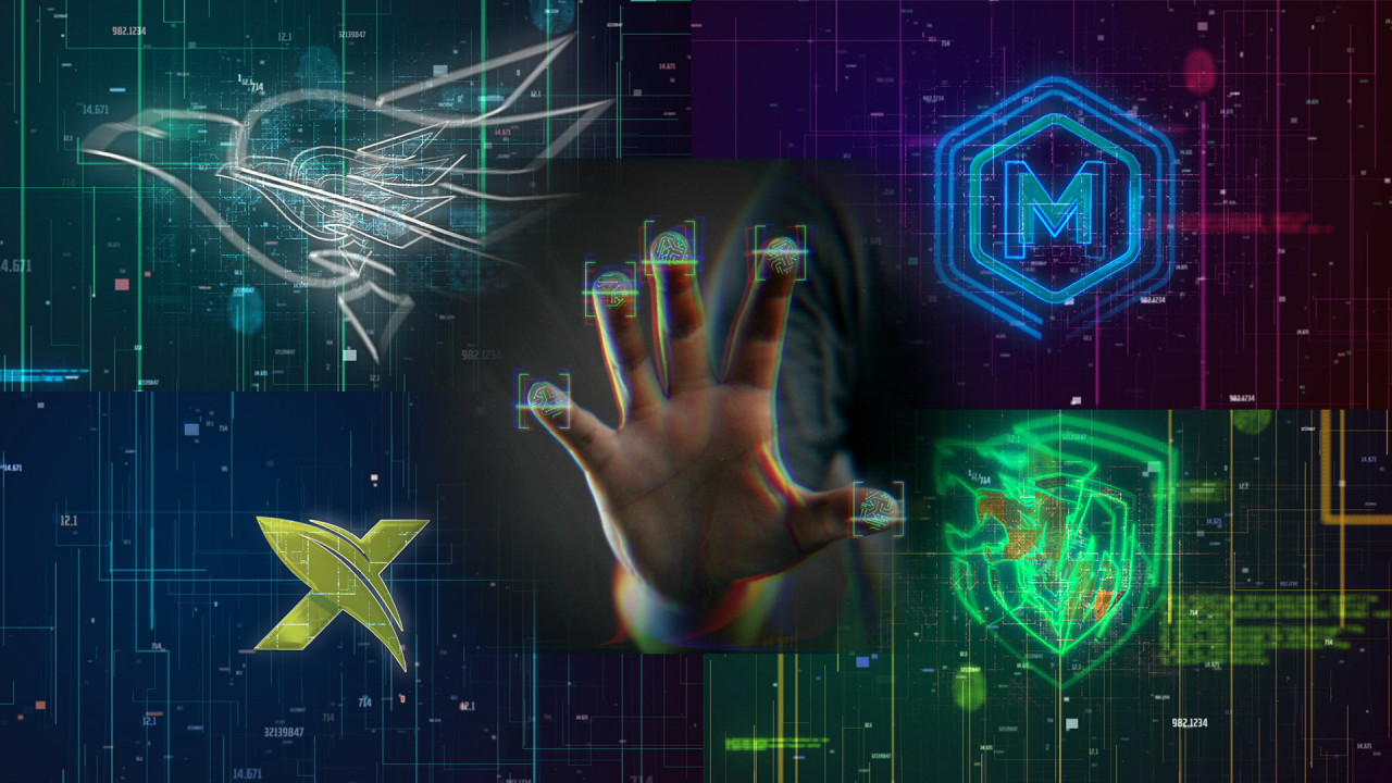 Biometrics Fingerprint Logo Reveal - After Effects Templates | Motion Array