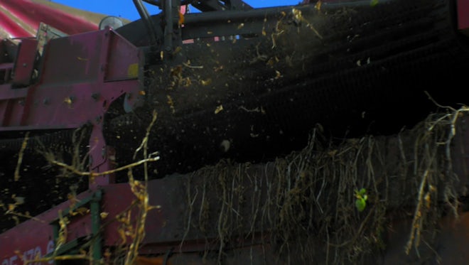 Harvester Recycles Close Up: Stock Video