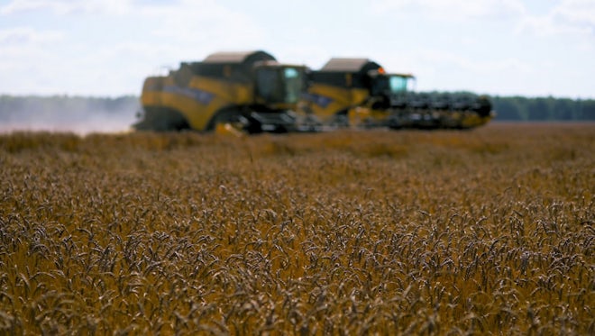 Harvesters In The Field Harvesting Crop: Stock Video