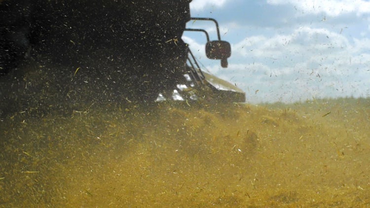 Harvester Sprays Chaff: Stock Video